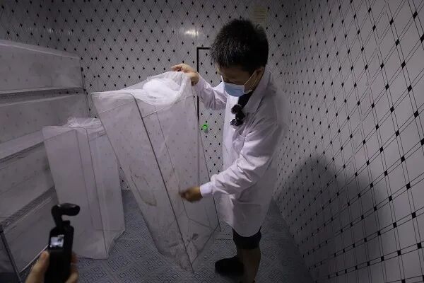 硬核！滅蚊子，他們動用了核技術的圖4