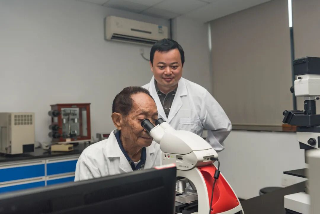 原创种子屡遭花式山寨种业侵权何时了