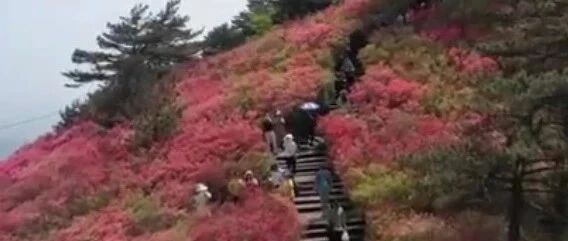 客流剧增、门票售罄……多地多举措错峰限流