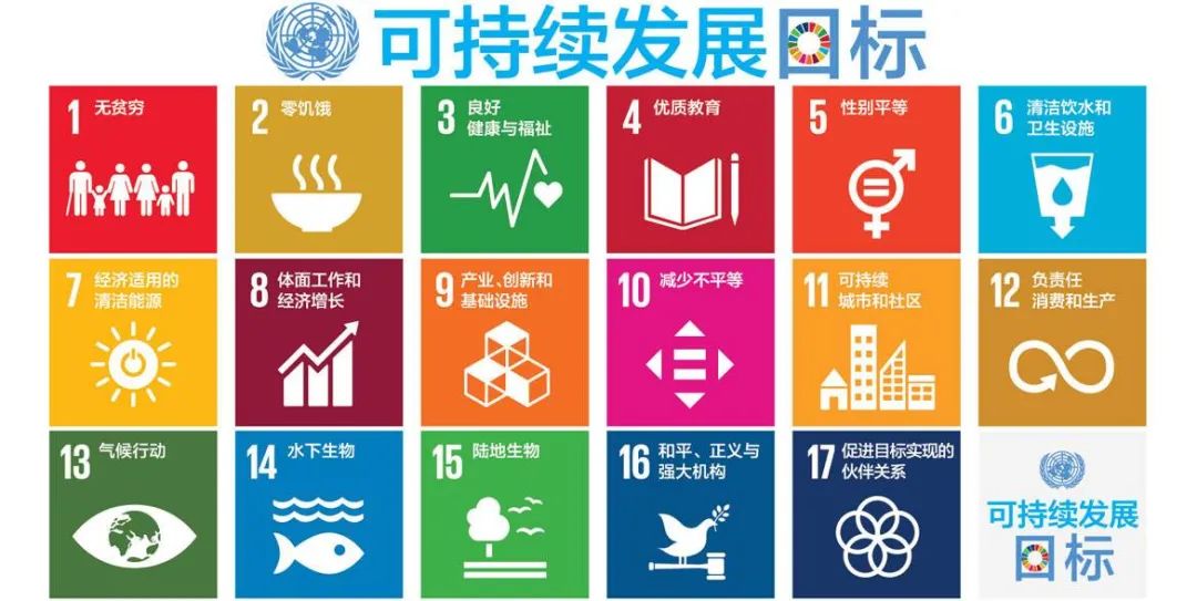 这5个可持续发展领域中国科研产出全球第一