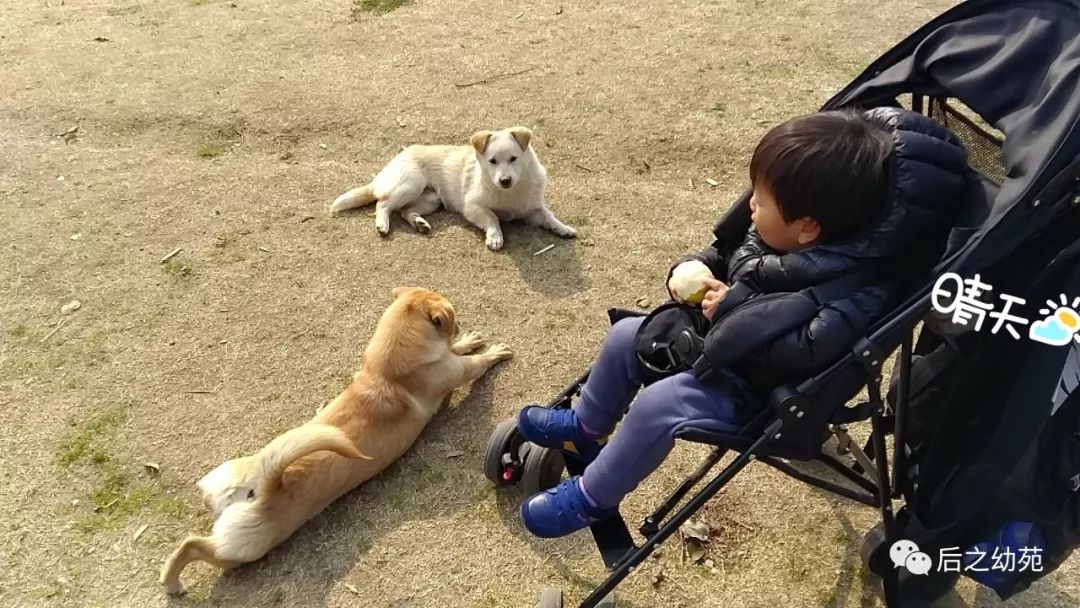 幼儿育儿心得体会怎么写_幼儿育儿经验心得体会_育儿心得和经验