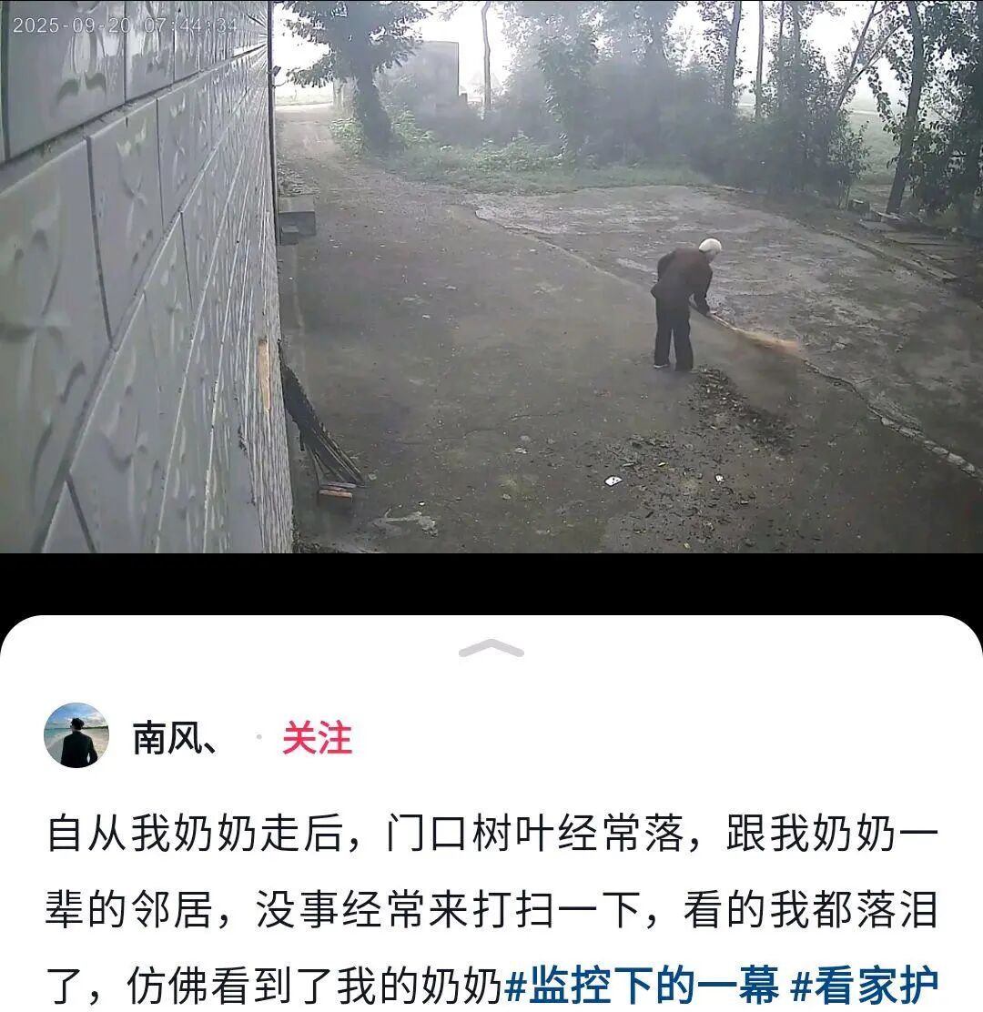 去世3年邻居帮扫落叶