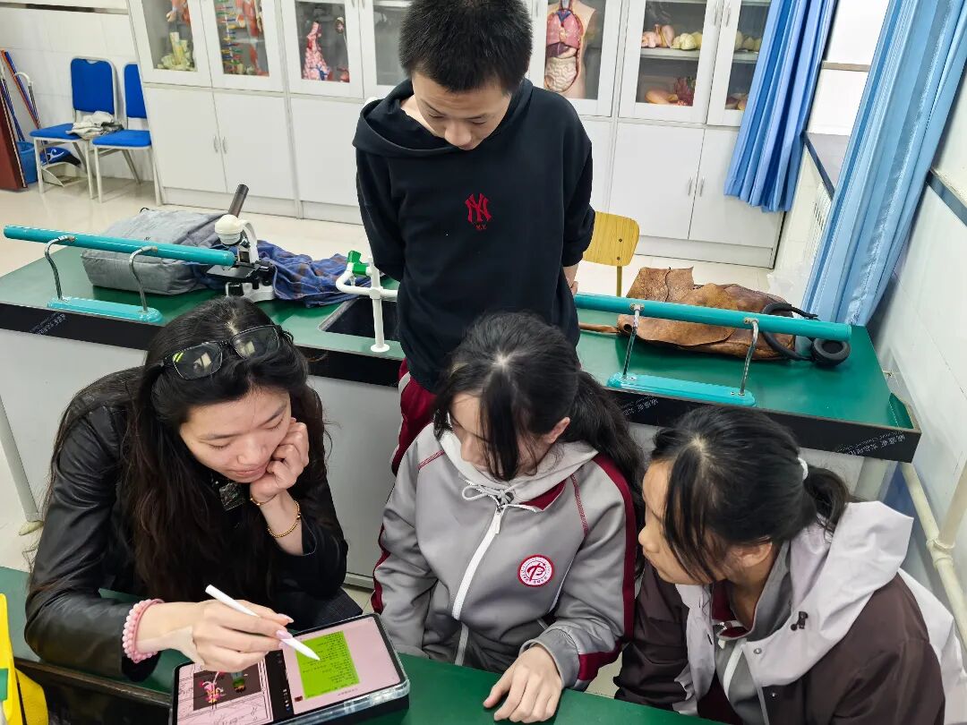 微信图片_20260416183941_168_312.jpg