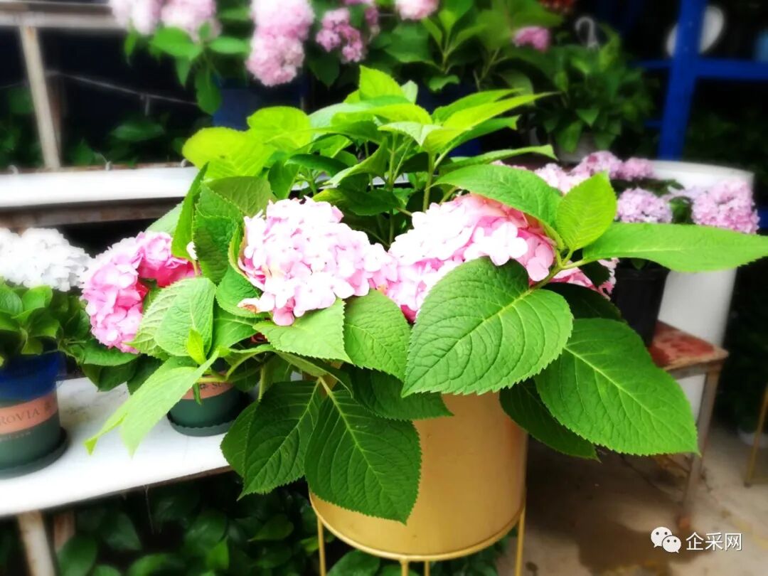 24小时娱乐app下载 欢迎莅临