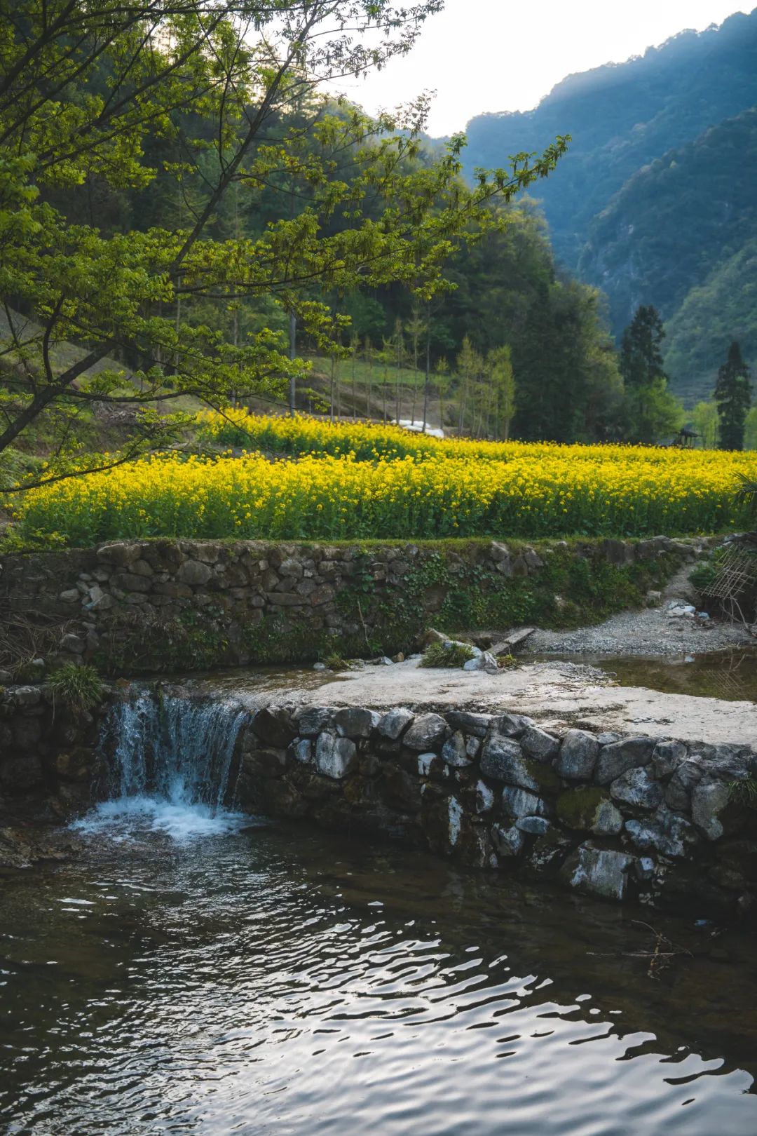 风景照片高清图 真实图片