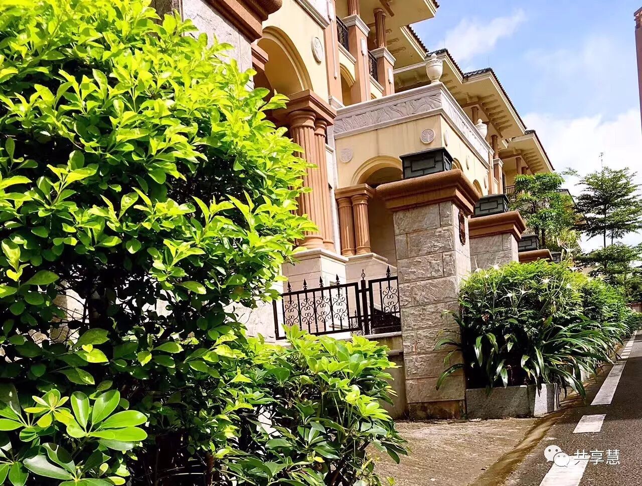 河源共享别墅进驻国家共享经济你买别墅我买单