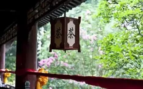 你可能不爱茶，但你得喝黑茶