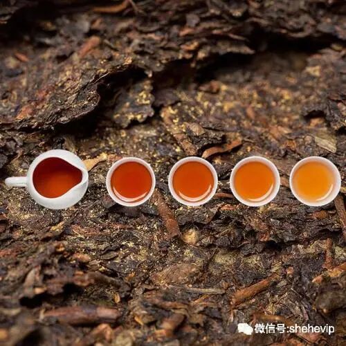 喝黑茶，认真最重要！