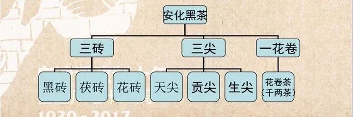 这黑茶，丑成了“万人迷”