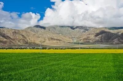 不用门面的创业项目_青年投资创业项目_农村创业项目农村青年创业有门