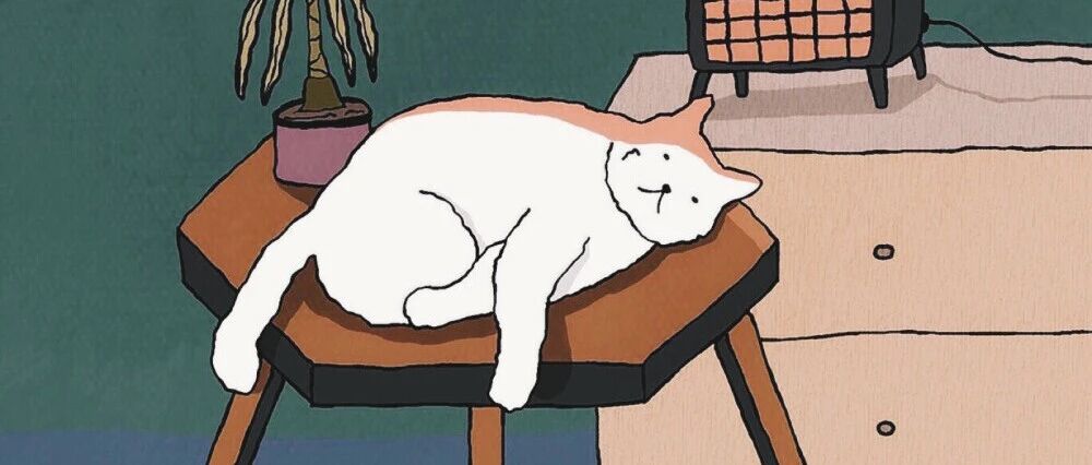 哪几个星座最不会哄人？