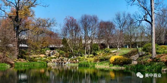 卡特中心(趣赢电竞appThe Carter Center)