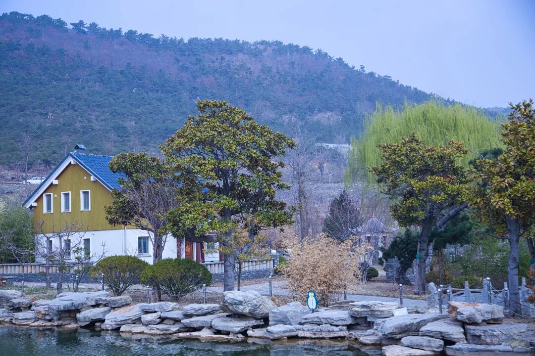 深藏不露的沂蒙马泉休闲园堪称现实版归园田居陶渊明都羡慕