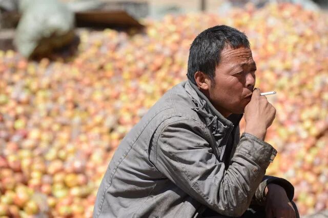 果农急哭!7旬老人40斤苹果仅卖12元,每斤仅0.3元!