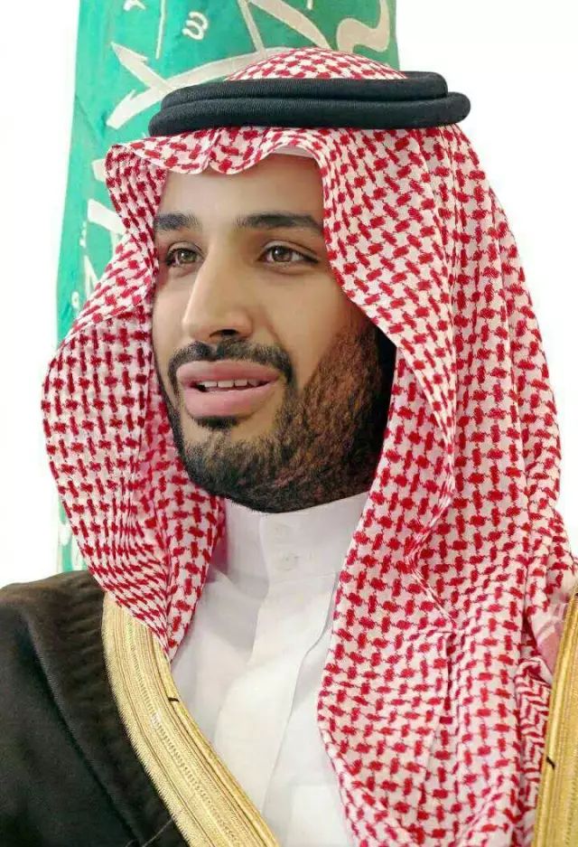 聚焦｜今天，沙特王储被废了，新华社火了