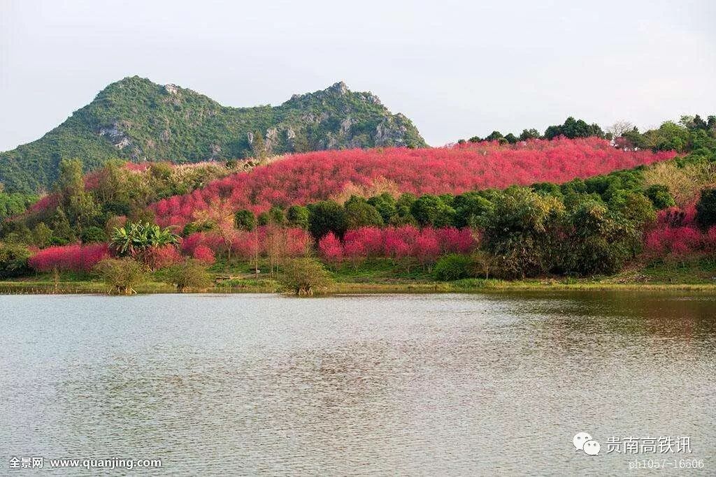 好消息！贵南高铁广西段中标单位（施工与监理）公示