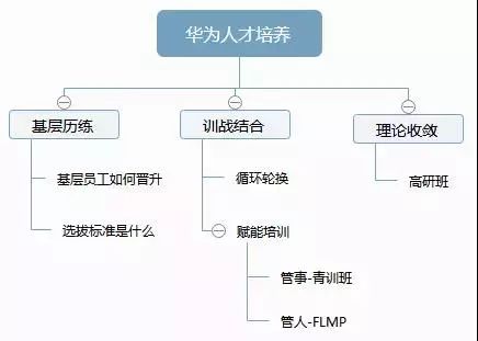 華為管理者培養路徑圖 職場 第2張