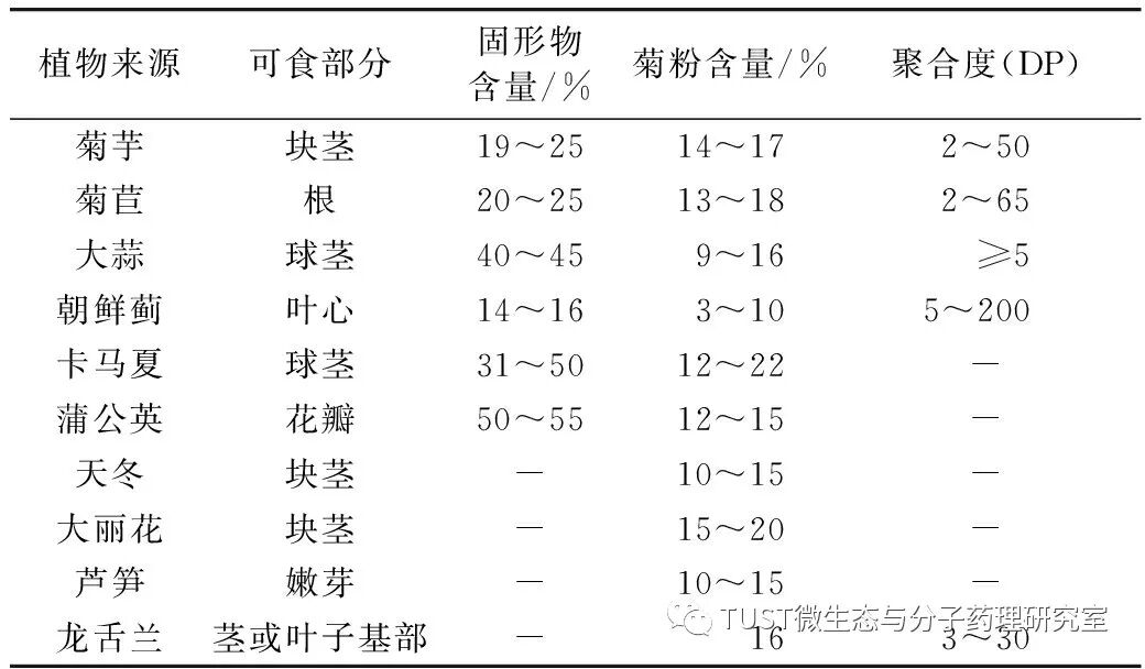 菊粉的功效和作菊粉用及副作用_菊粉功效与作用_菊粉的功效和作用