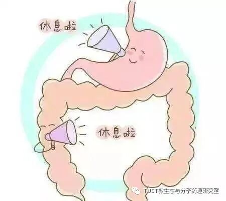菊粉的功效和作菊粉用及副作用_菊粉功效与作用_菊粉的功效和作用