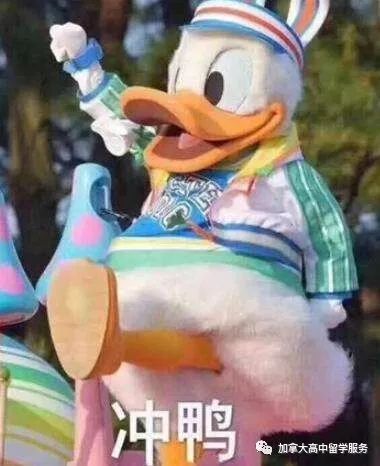 点击查看源网页