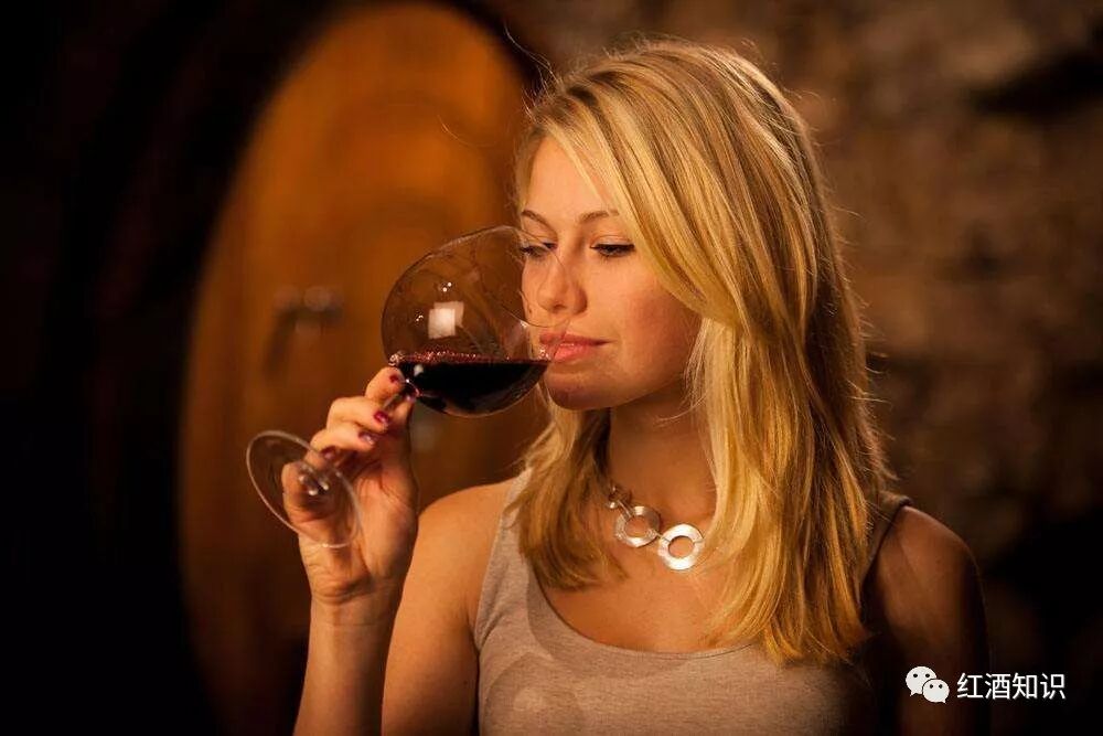 你想知道的红酒入门小知识
