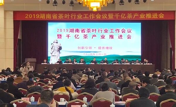 干货 | 湖南省2019年茶行业1000亿湘茶产业推进会召开
