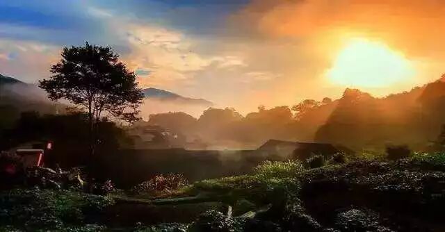 品味安化 | 安化黑茶的6组关键词