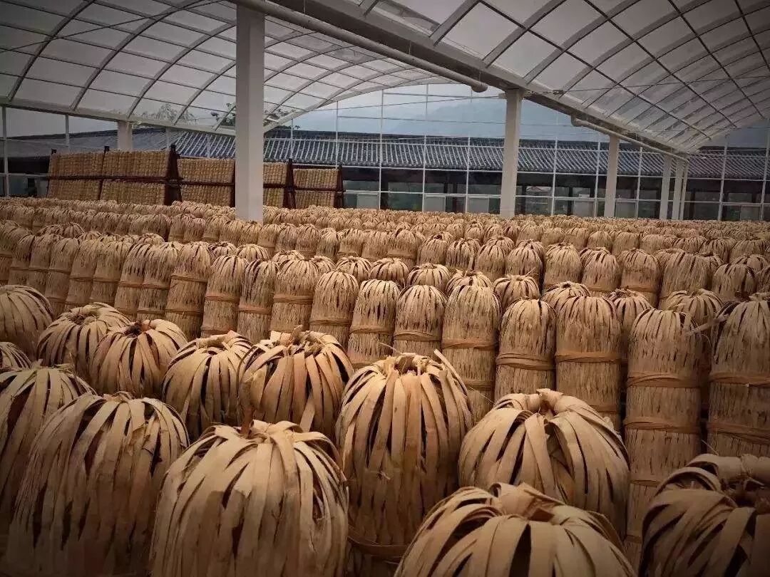 品味安化 | 千两茶，这三个关键信息量很大!