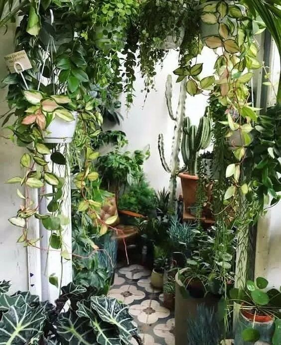 要打造梦幻般的阳台花房 你需要知道这些小细节