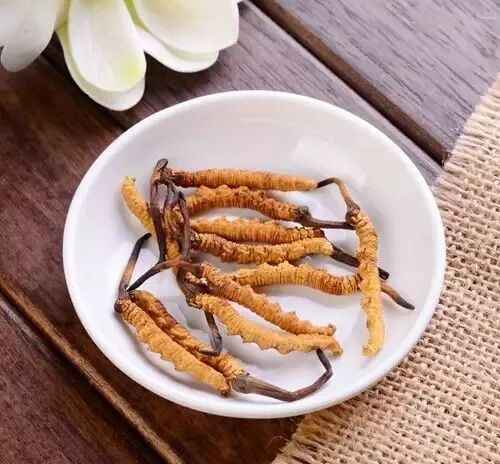 冬虫夏草|冬虫夏草可以生吃吗 冬虫夏草怎么吃食用方法