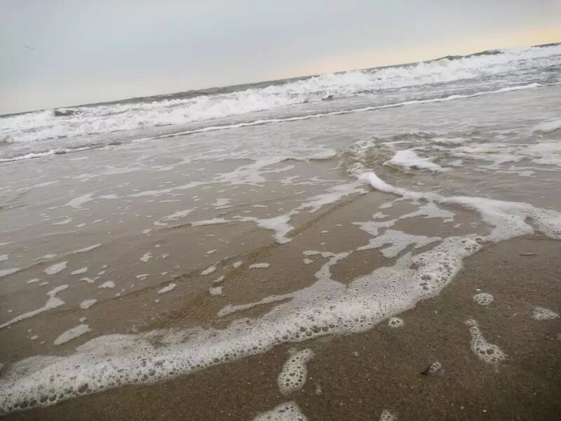 盘锦—金帛滩海滨公园