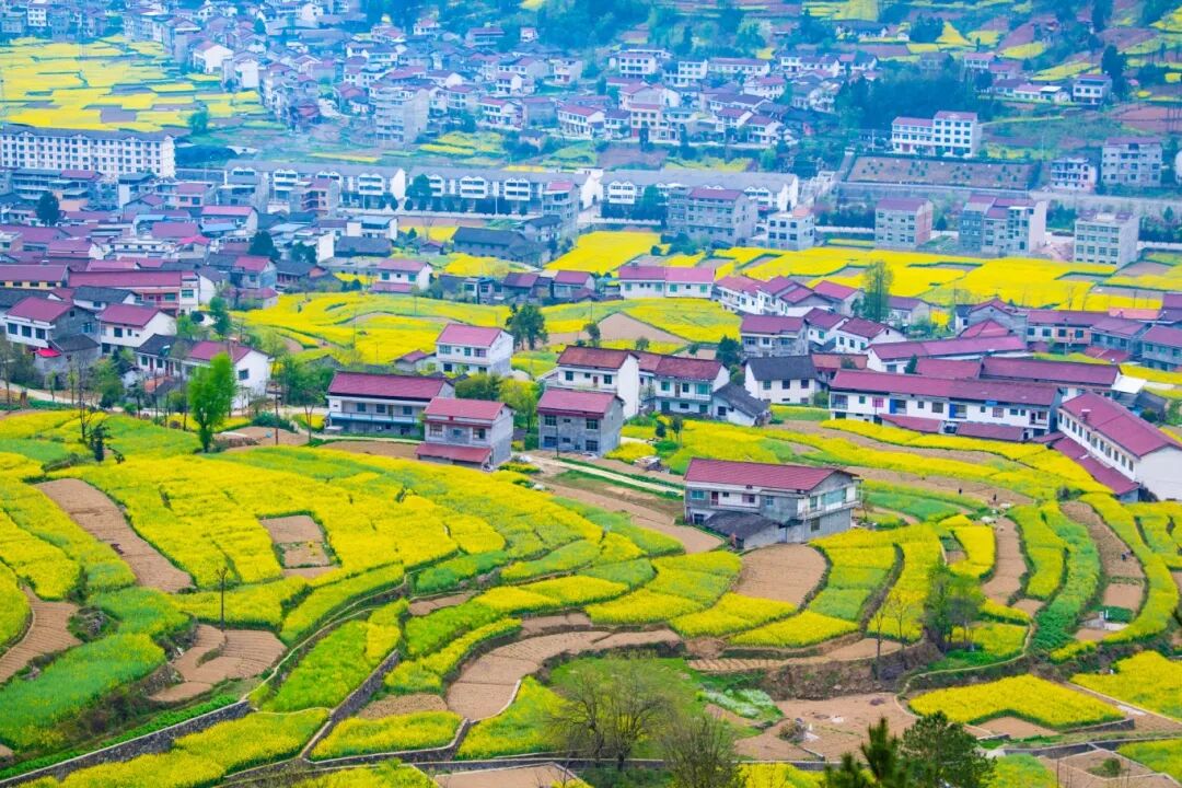 咩咩羊渔渡11 (11)_副本.jpg