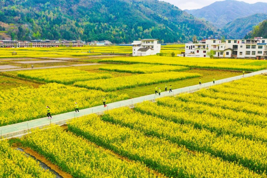 咩咩羊... (14)_副本.jpg