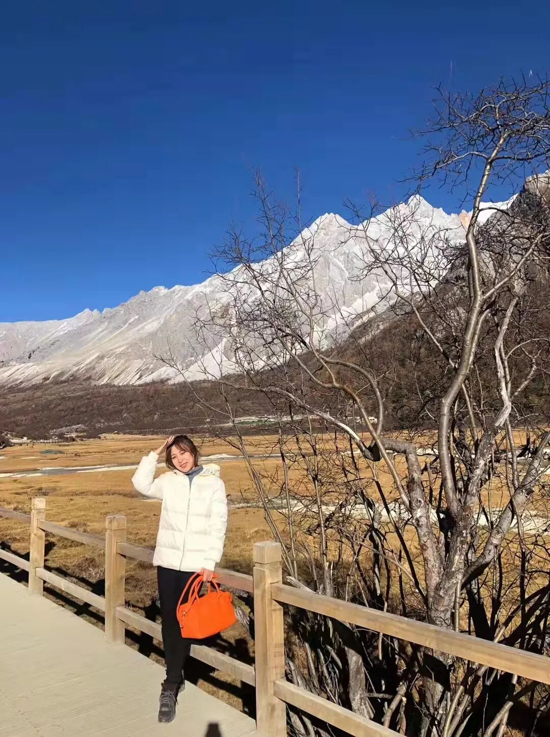 宁静致远淡泊明志的哲学道理_淡泊明志宁静致远的意思是什么_宁静致远淡泊意思明志是成语吗