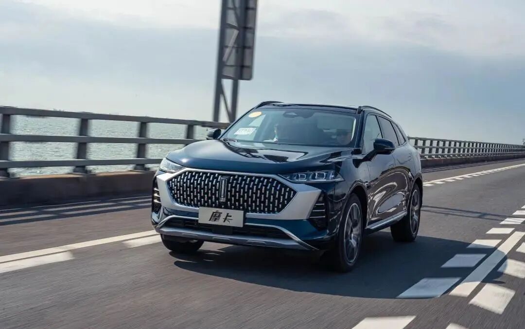 汽車大觀｜對話李瑞峰：WEY品牌定位“新一代智能汽車”的圖7