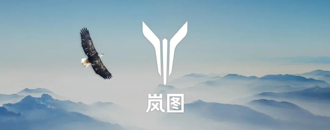 汽車大觀｜嵐圖這一年的圖1