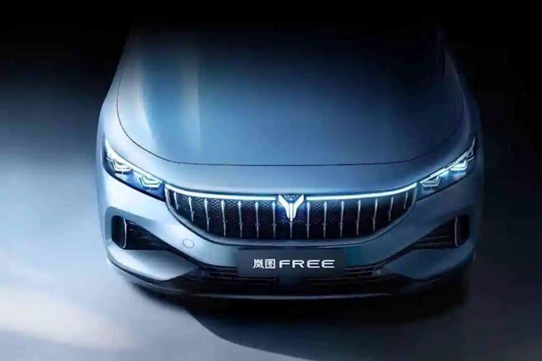 汽車大觀｜嵐圖這一年的圖4