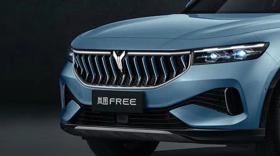 汽車大觀｜嵐圖這一年的圖2