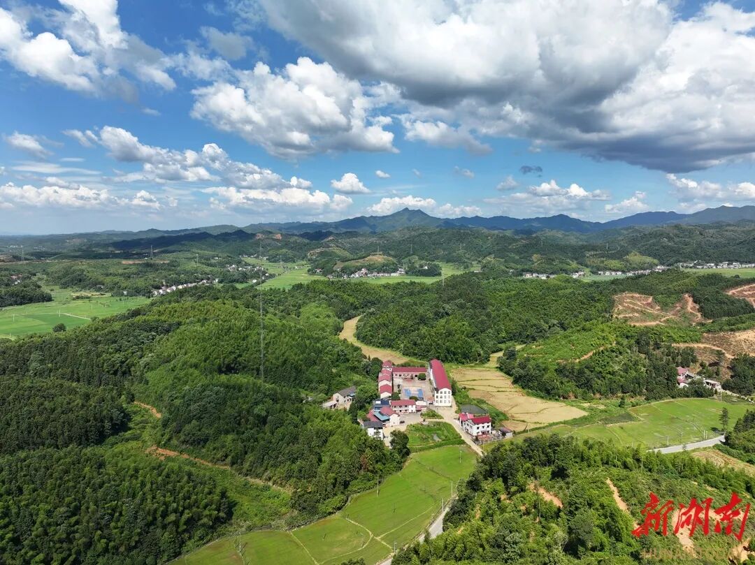 株洲市渌口区龙潭镇太湖村的龙门学校。湖南日报全媒体记者 童迪 摄