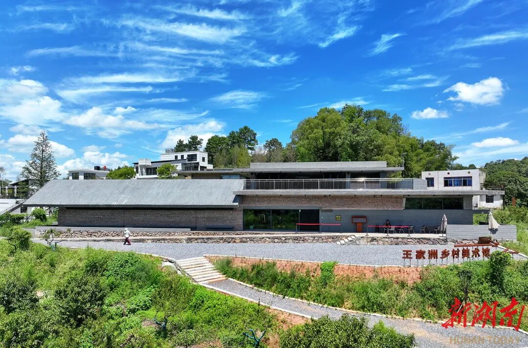 株洲市渌口区渌口镇王家洲乡村美术馆。湖南日报全媒体记者 童迪 摄