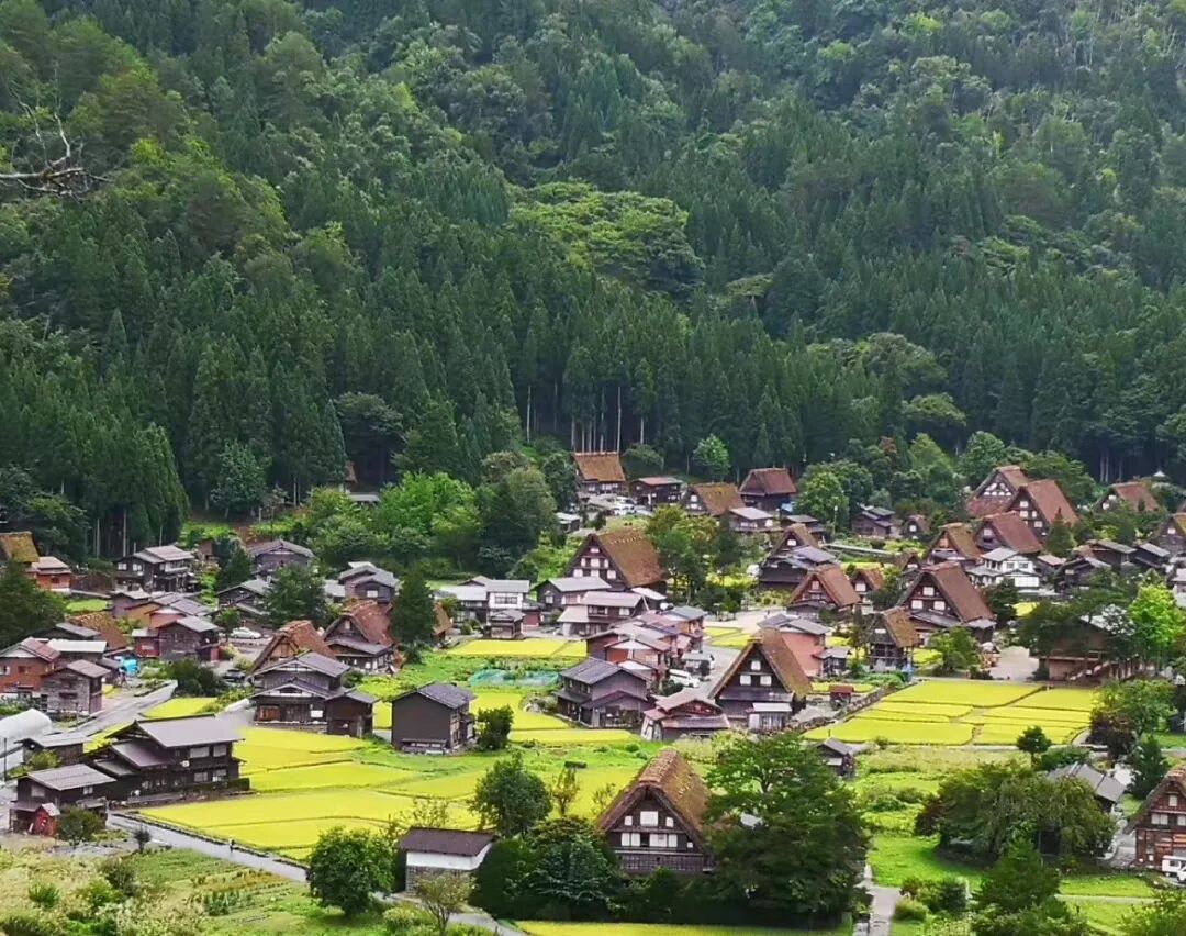 708张颖丨异质与共生 日本当代艺术乡建诸模式 人类学乾坤 微信公众号文章阅读 Wemp