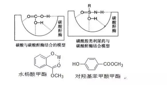 对羟基苯甲酸甲酯无,则抑菌