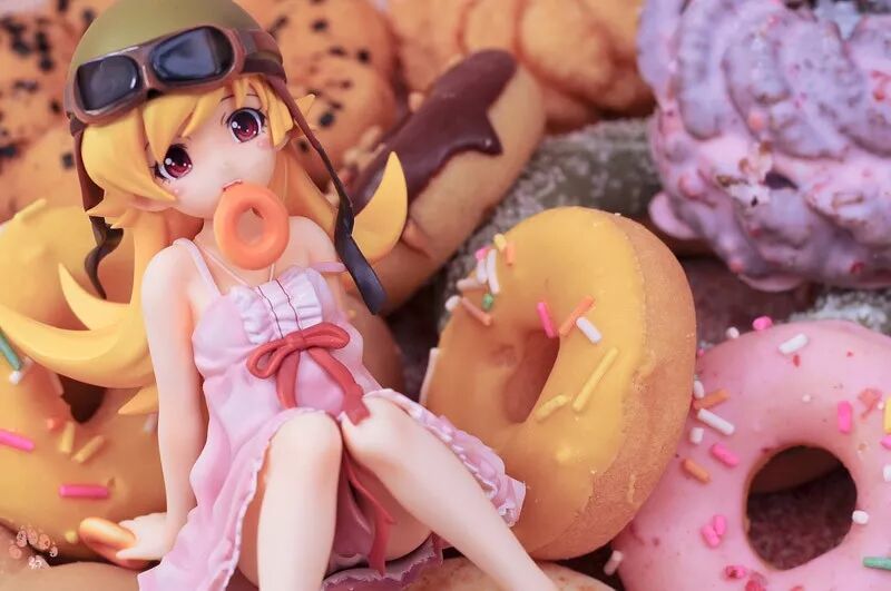 Gsc 化物語忍野忍 尋夢動漫