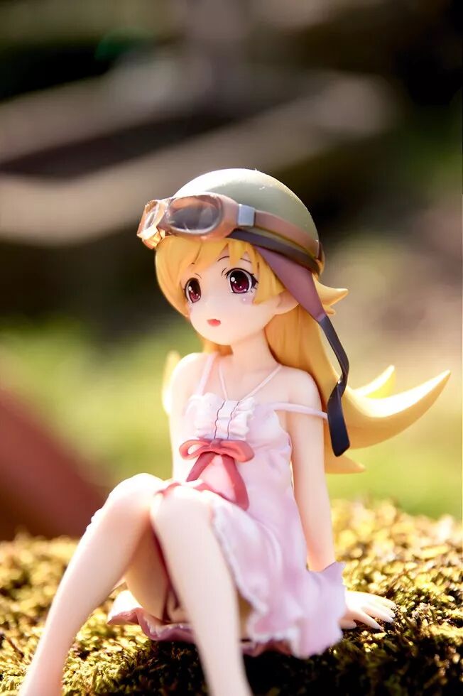 Gsc 化物語忍野忍 尋夢動漫