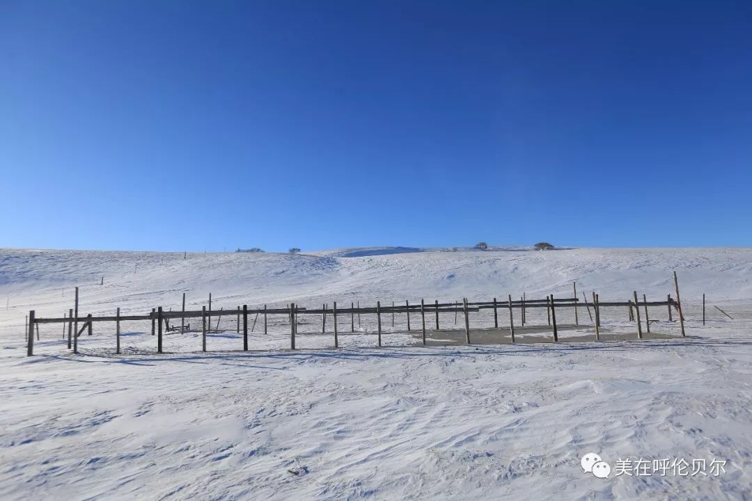 民俗風情呼倫貝爾大雪原的浪漫冬天