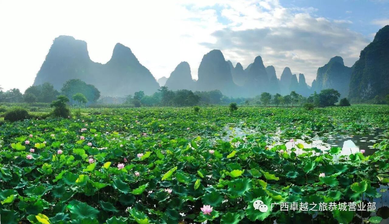 九月份贺州第三节莲藕节盛大开幕！！！！588 / 作者:黑轩 / 帖子ID:236314