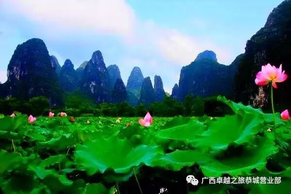 九月份贺州第三节莲藕节盛大开幕！！！！410 / 作者:黑轩 / 帖子ID:236314