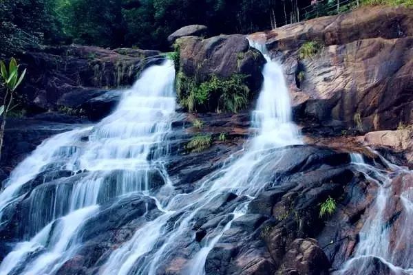 九月份贺州第三节莲藕节盛大开幕！！！！111 / 作者:黑轩 / 帖子ID:236314