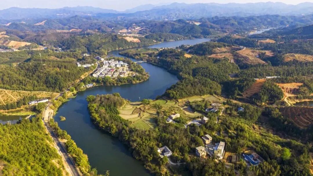 鹅公镇党委,政府给全县人民拜年啦! | 定南县信息公开