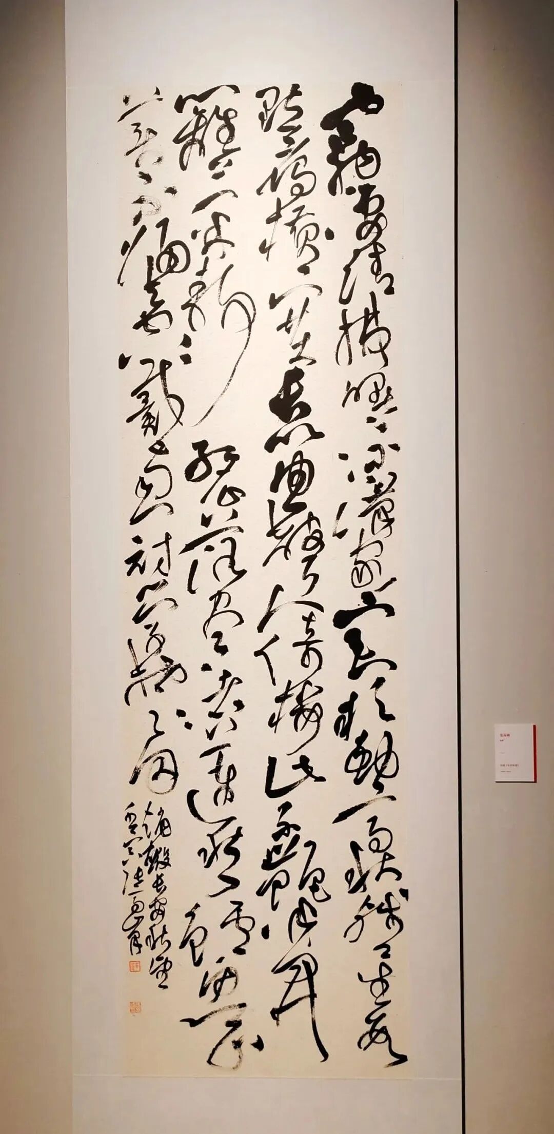「高清」全国第五届草书展入展作品集